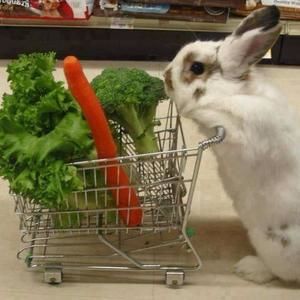 Meet your Posher, Humza